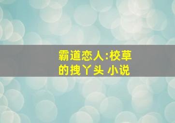 霸道恋人:校草的拽丫头 小说